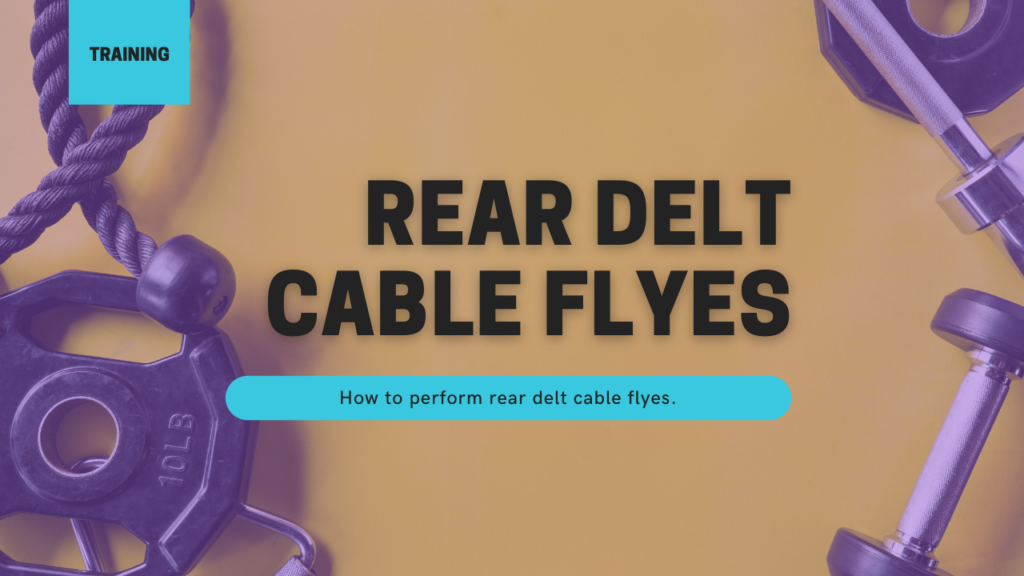 Rear Delt Cable Flyes